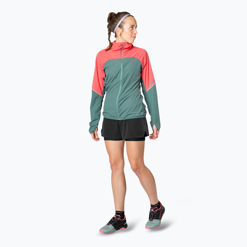 Куртка для бігу жіноча DYNAFIT Alpine Wind cabana atlantic 3