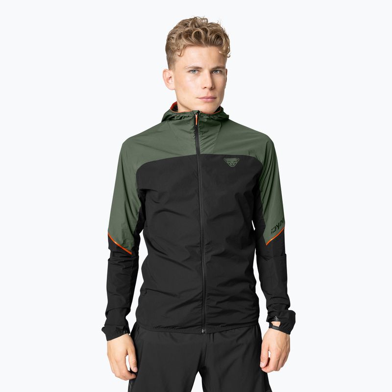 Куртка для бігу чоловіча DYNAFIT Alpine Wind thyme 2