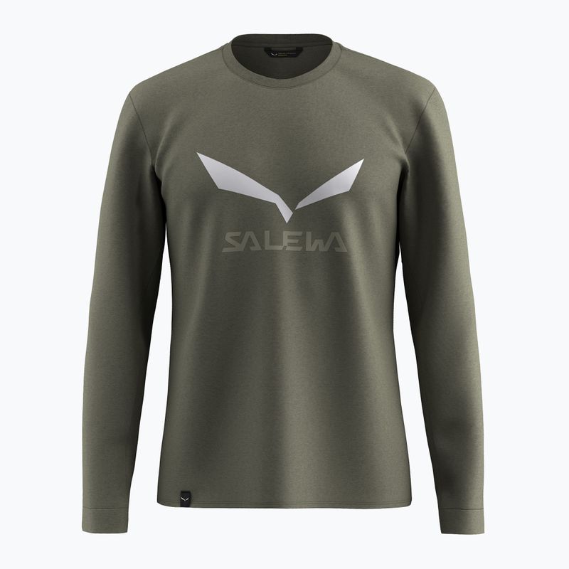 Чоловічий лонгслів Salewa Solidlogo Dry faded green