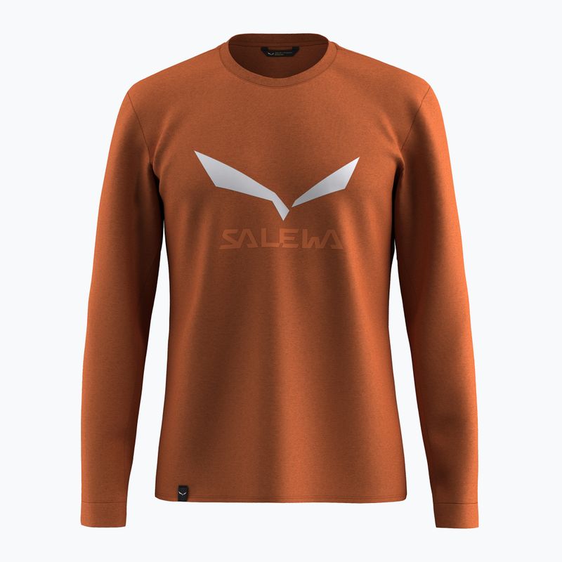 Чоловічий лонгслів Salewa Solidlogo Dry Bombay Brown