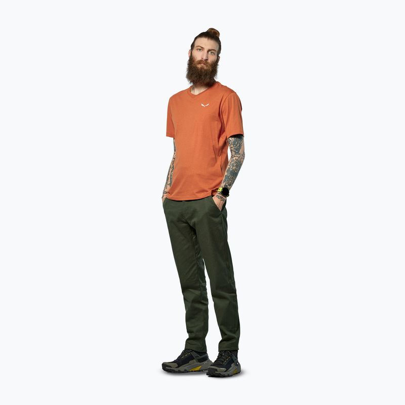 Футболка чоловіча Salewa Eagle Vocab bombay brown 2