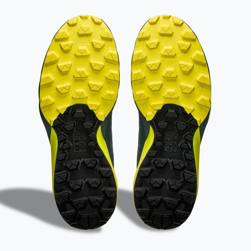 Чоловічі кросівки для бігу DYNAFIT Ultra GTX hurricane/black out 9