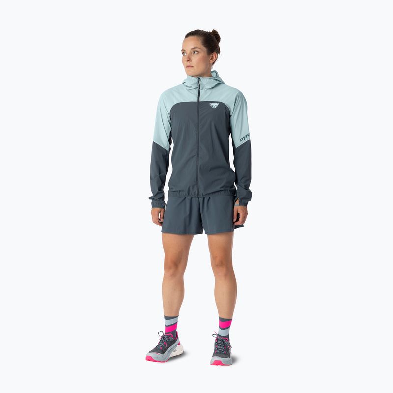 Куртка для бігу жіноча DYNAFIT Alpine Wind cloud blue/0720 2