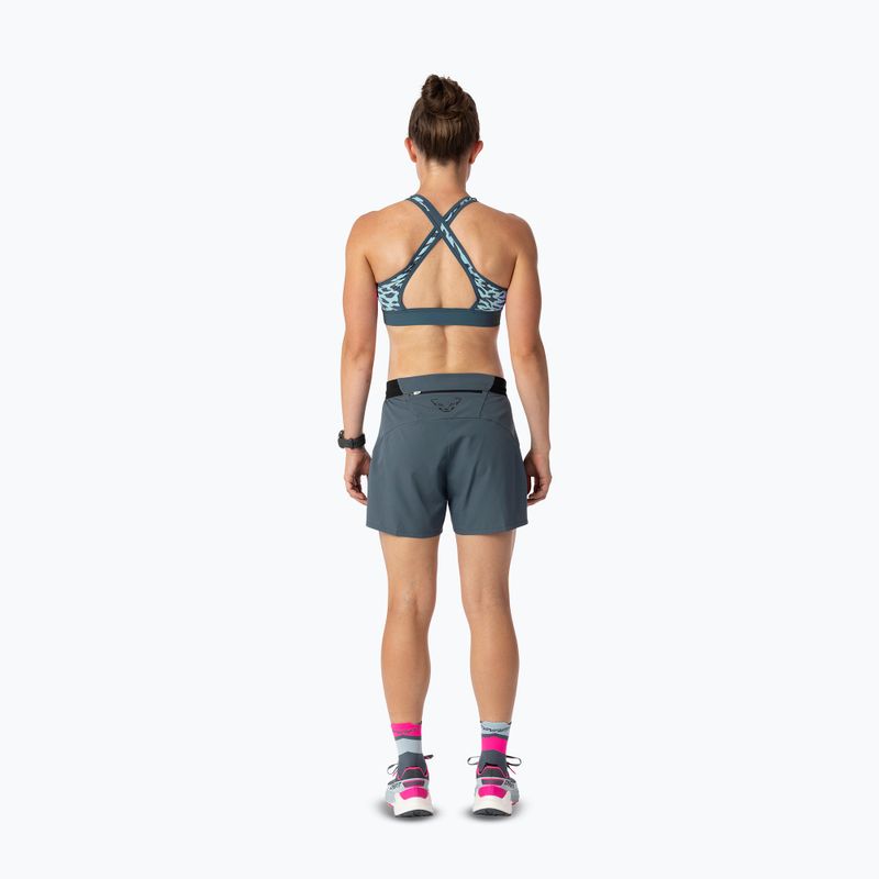 Бюстгальтер для тренувань DYNAFIT Alpine Graphic cloud blue 4