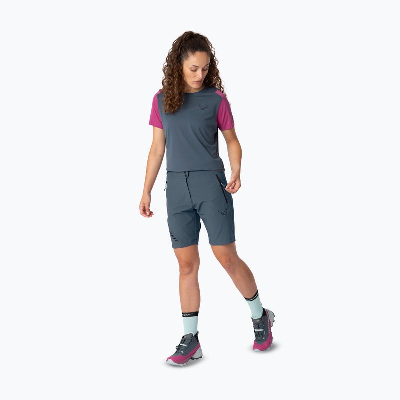 Шорти трекінгові чоловічі DYNAFIT Transalper Light Dynastretch cinder/0910 2