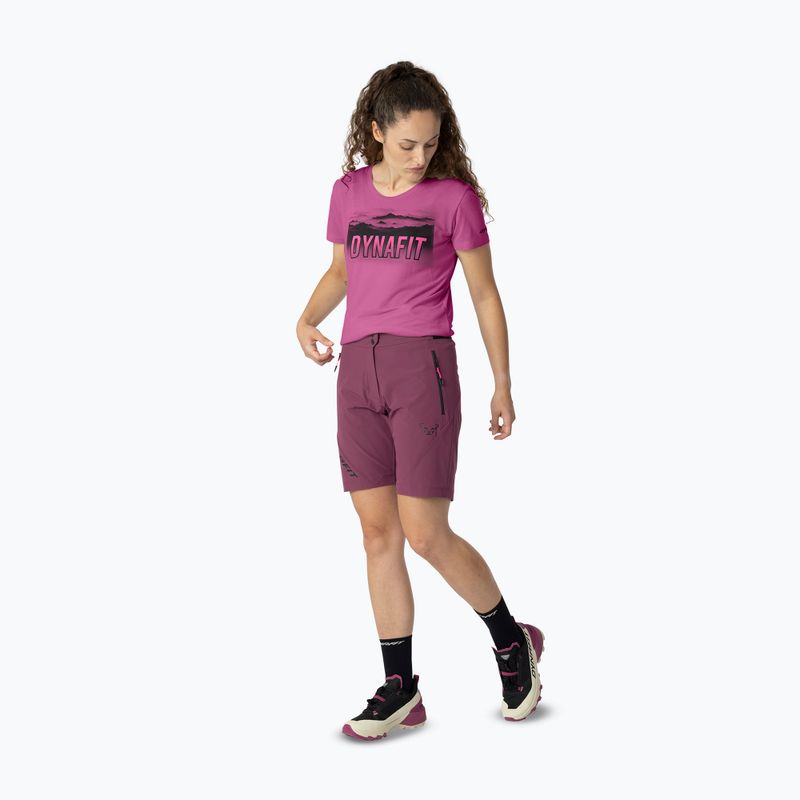 Шорти трекінгові жіночі DYNAFIT Transalper Light Dynastretch amaranth/0910 2