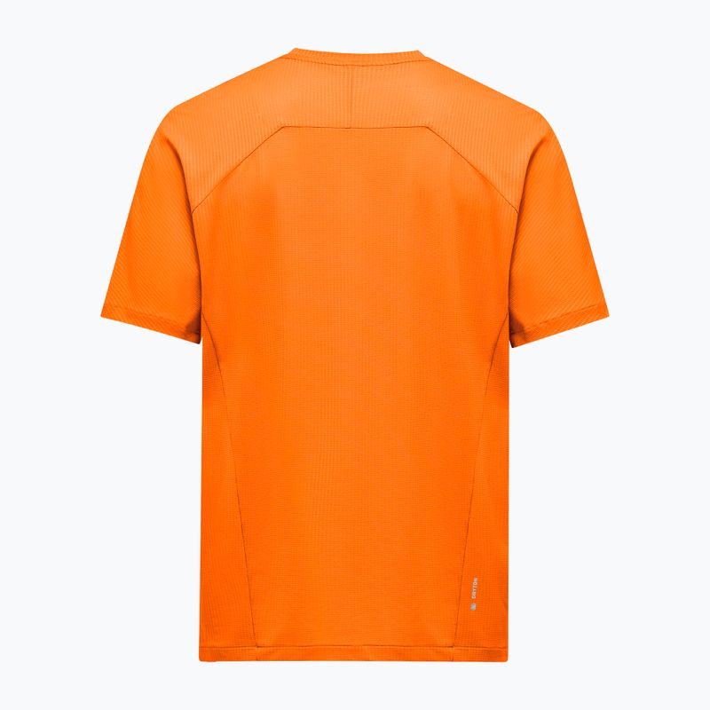 Футболка чоловіча Salewa Pedroc Dry Light turmeric 2