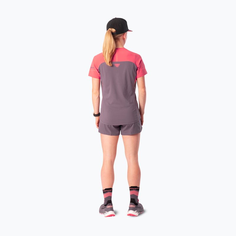 Футболка для бігу жіноча Dynafit Alpine Pro SS Tee cabana/6A90 2