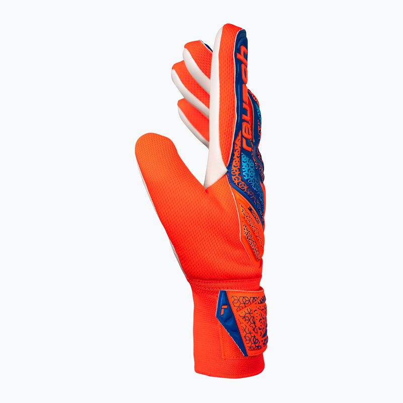 Рукавиці воротарські Reusch Attrakt Starter Solid shocking orange/blue 4