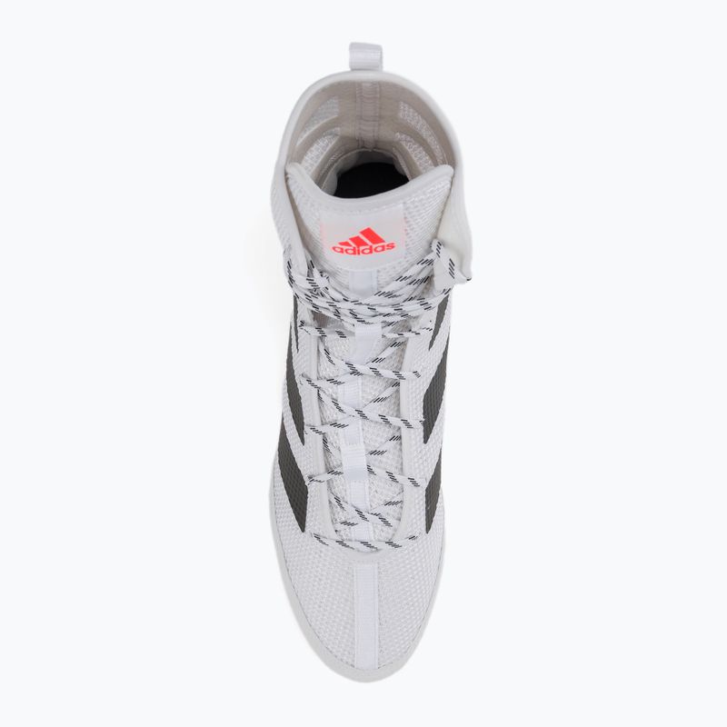 Взуття для боксу  adidas Box Hog 3 біло-чорне GV9975 6