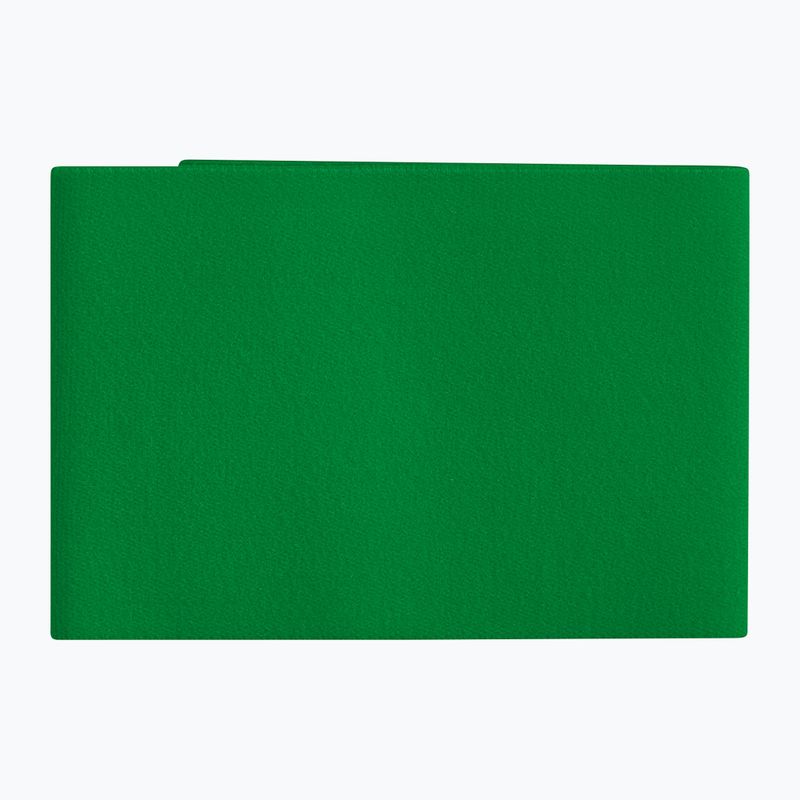 Ремінці на захист для гомілок ERIMA Guard Stays emerald 2