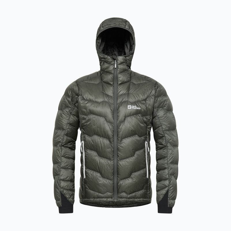 Чоловічий капюшон Jack Wolfskin Alpspitze Down Hoodie сланцевий зелений 7