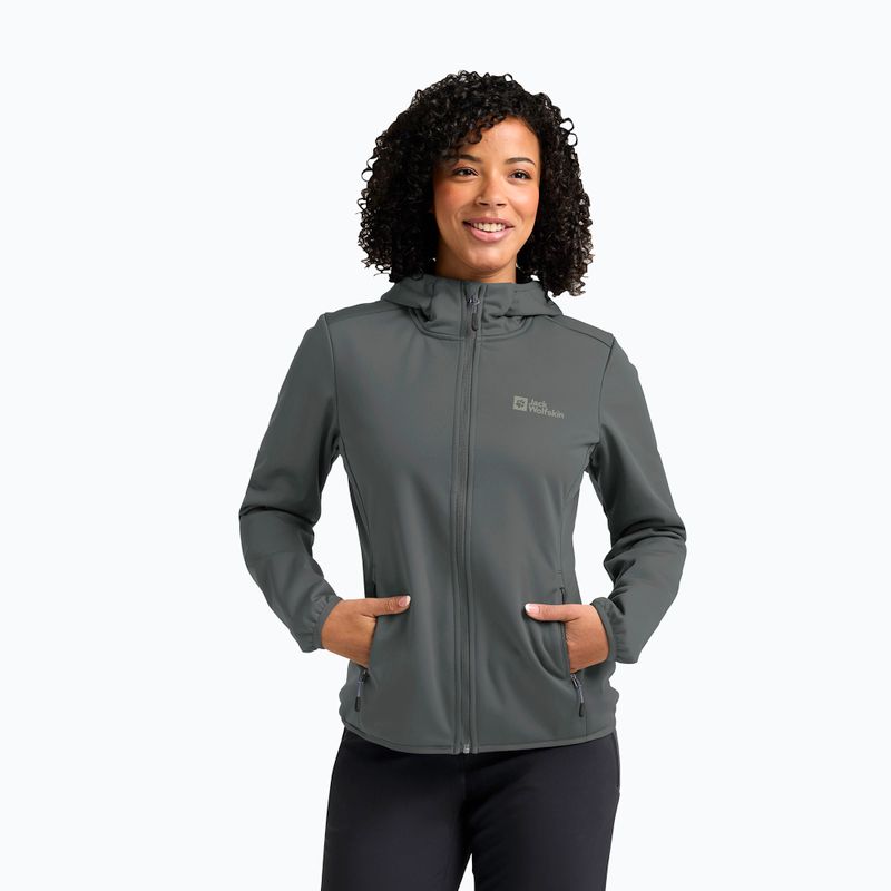 Куртка софтшелл жіноча Jack Wolfskin Windhain Hoody slate green