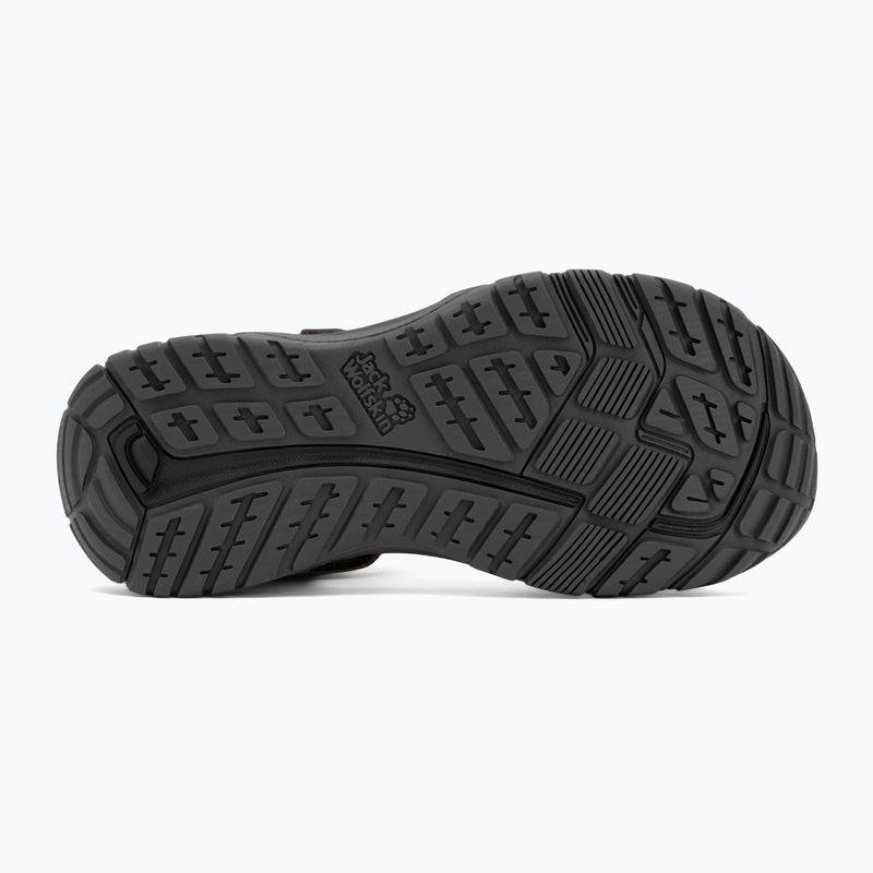 Сандалі чоловічі Jack Wolfskin Lakewood Ride cold coffee 4