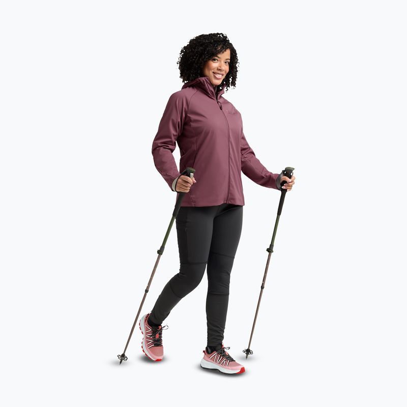 Кросівки туристичні жіночі Jack Wolfskin Wild Hike Texapore Low rosegarden 6