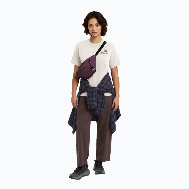 Футболка жіноча Jack Wolfskin Cadena tent cotton white 2