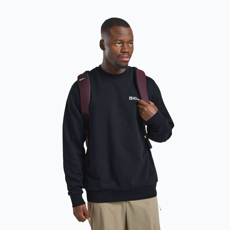 Рюкзак міський Jack Wolfskin Terracade 24 л amaranth 11