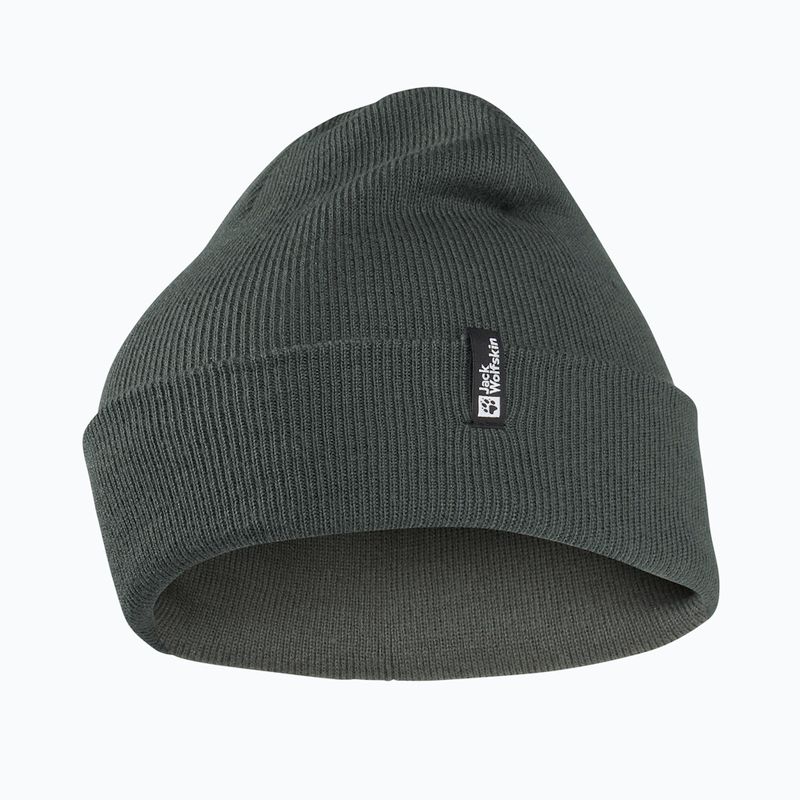 Зимова шапка Jack Wolfskin Rib slate green
