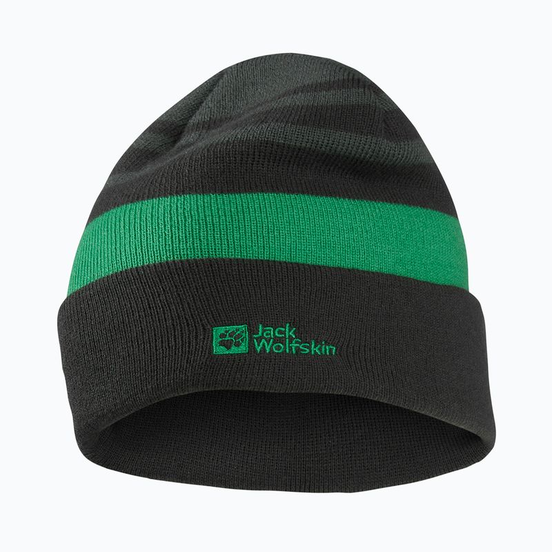 Дитяча зимова шапка Jack Wolfskin Stripy Knit slate green/mystic