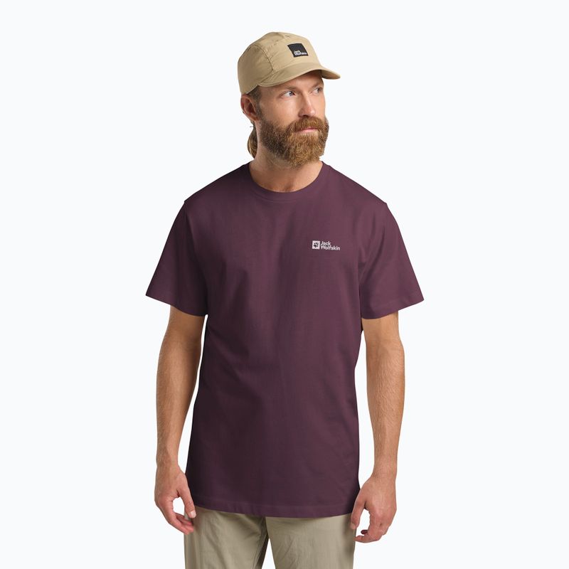 Чоловіча футболка Jack Wolfskin Essential amaranth