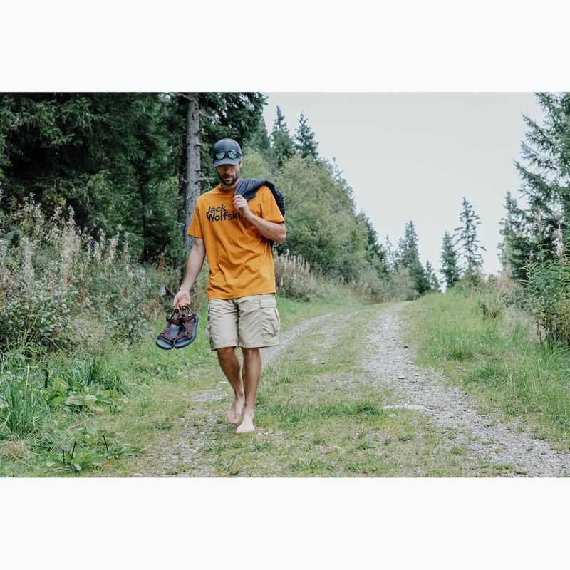 Сандалі чоловічі Jack Wolfskin Taiga dark mahogany 7