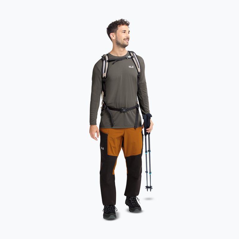 Взуття трекінгове чоловіче Jack Wolfskin Apex Hike Texapore Low black 7