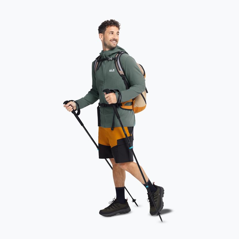 Взуття трекінгове чоловіче Jack Wolfskin Apex Hike Texapore Low obsidian moss 7