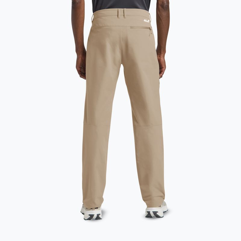 Штани трекінгові чоловічі Jack Wolfskin Pico Trail hazel wood 3