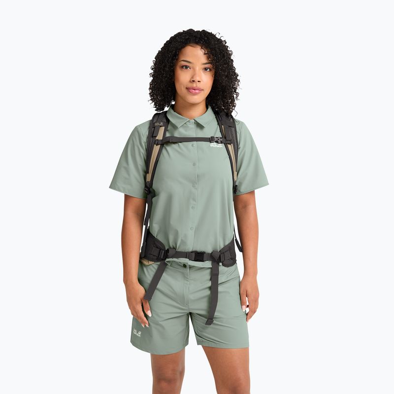 Рюкзак туристичний Jack Wolfskin Astro Vent 24 l hazel wood 16