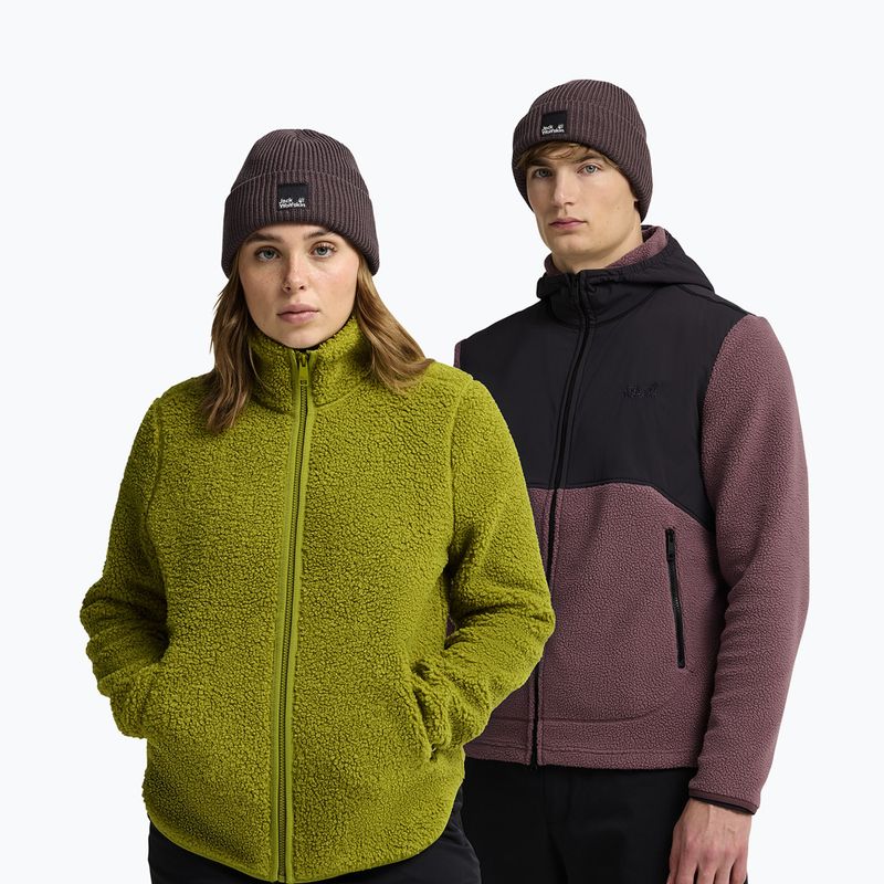 Шапка зимова Jack Wolfskin Pergamon Beanie sheer plum 4