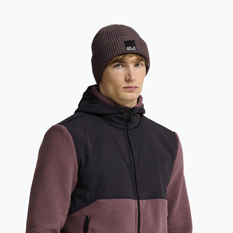 Шапка зимова Jack Wolfskin Pergamon Beanie sheer plum 6