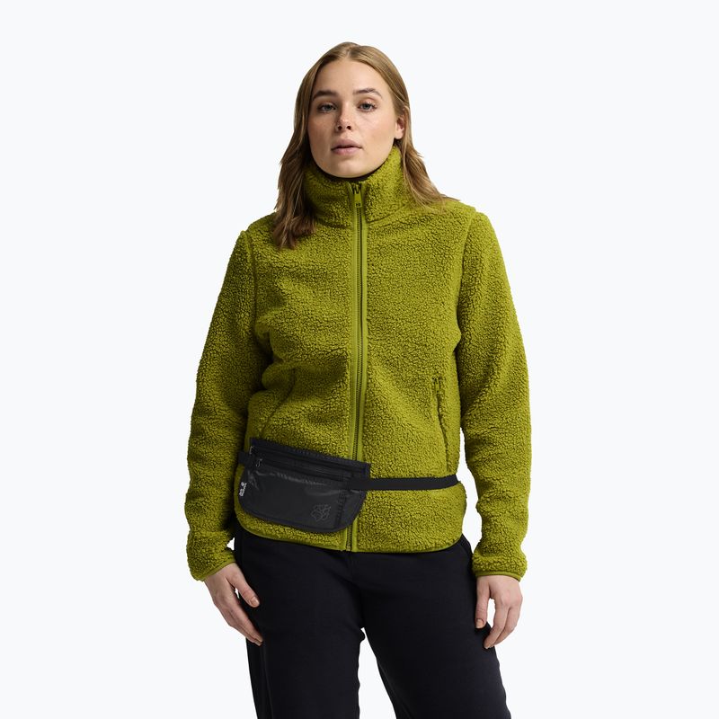 Сумка бананка Jack Wolfskin Document Belt De Luxe phantom 9