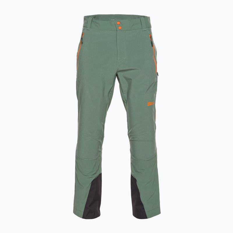 Чоловічі трекінгові штани Jack Wolfskin Alpspitze Tour hedge green 6