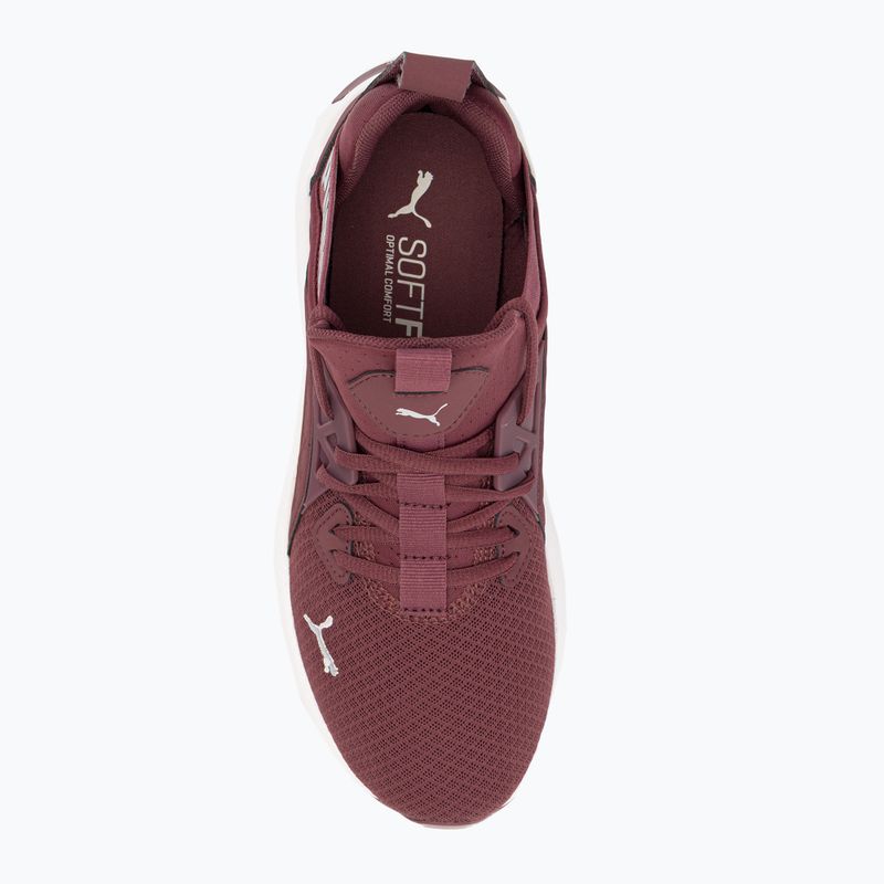 Кросівки для бігу жіночі PUMA Softride Enzo Nxt бордові 195235 17 6