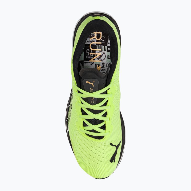 Кросівки для бігу чоловічі PUMA Velocity NITRO 2 Run 75 fast yellow/puma black 7