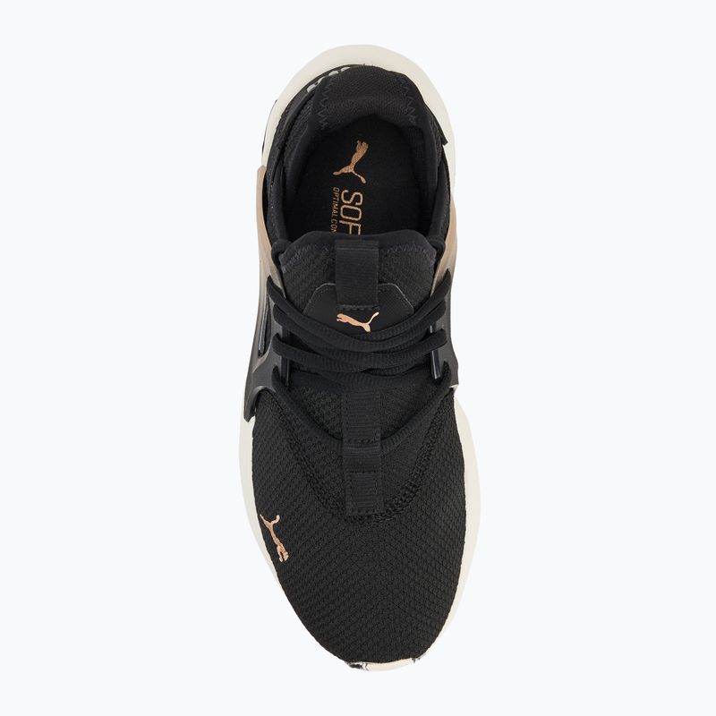 Кросівки для бігу жіночі PUMA Softride Enzo Evo Molt Met black/gold/warm white 5