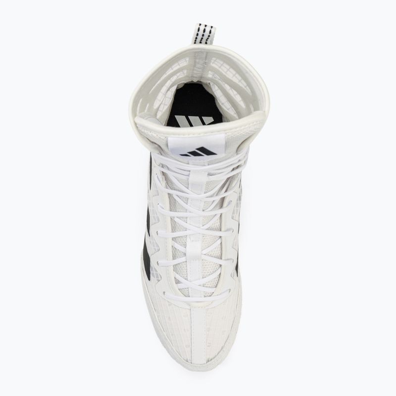 Боксерські черевики adidas Box Hog 4 cloud white/core black/cloud white 5