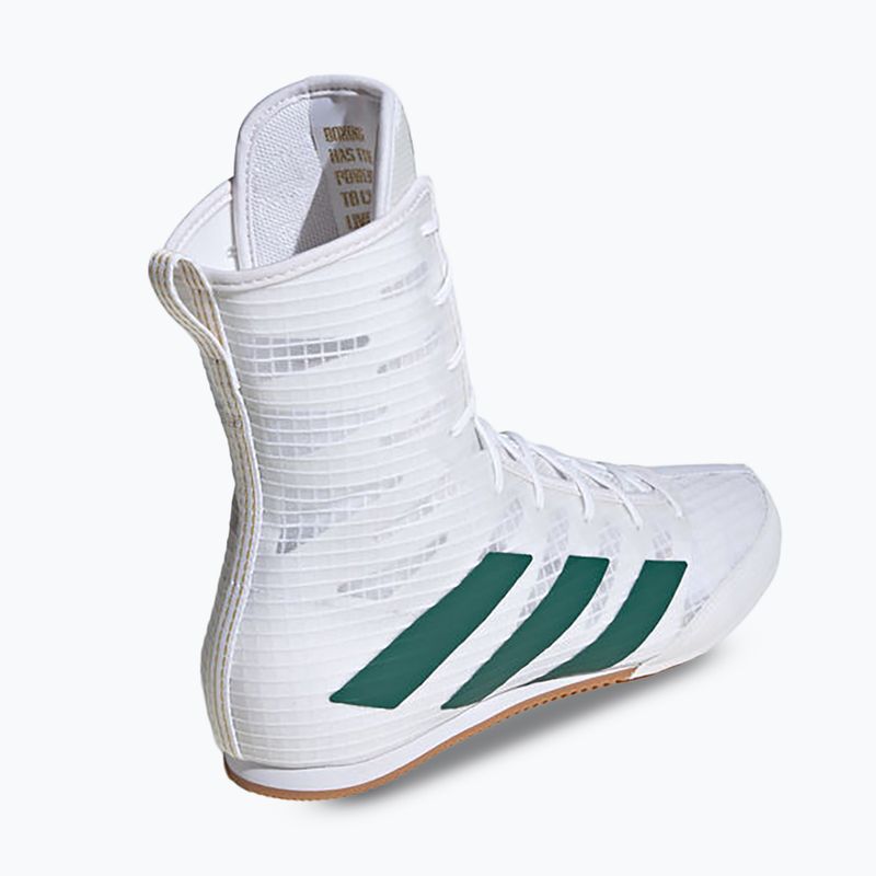 Кросівки боксерські adidas Box Hog 4 cloud white/collegiate green/core black 2