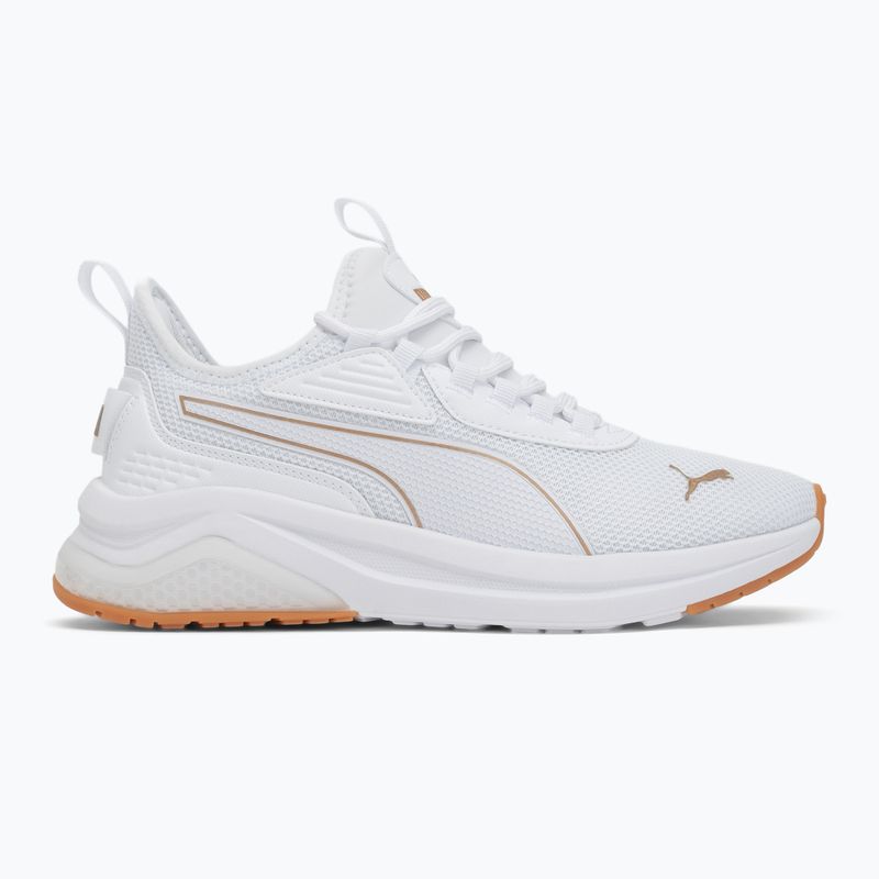Кросівки жіночі PUMA Amplifier puma white/puma gold 2