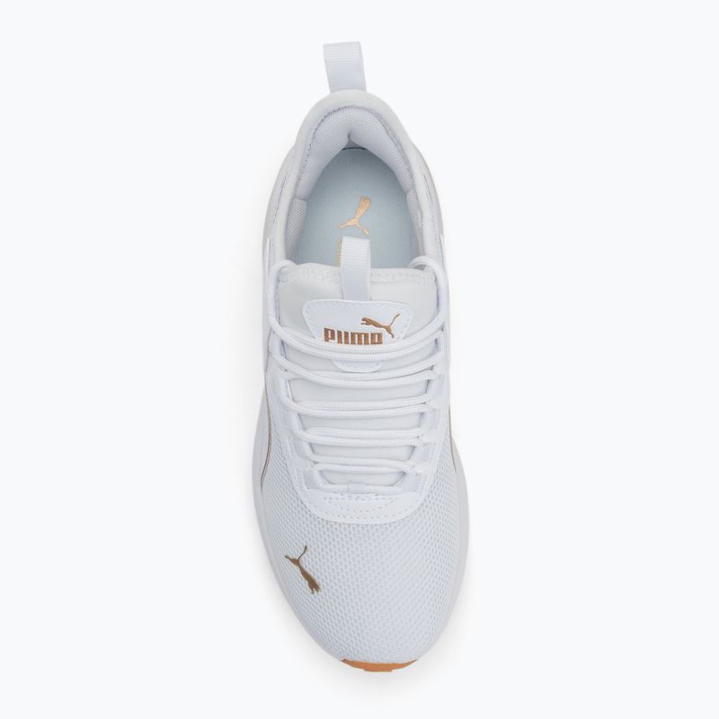 Кросівки жіночі PUMA Amplifier puma white/puma gold 5