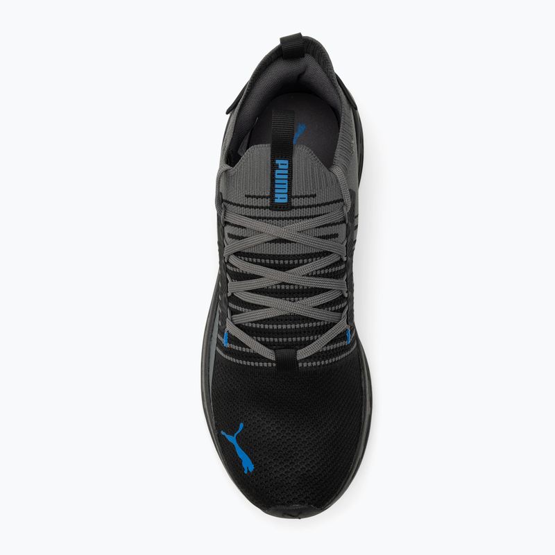 Бігові кросівки PUMA Softride Symmetry Fuzion пума чорний / прохолодний темно-сірий / пума team royal 5