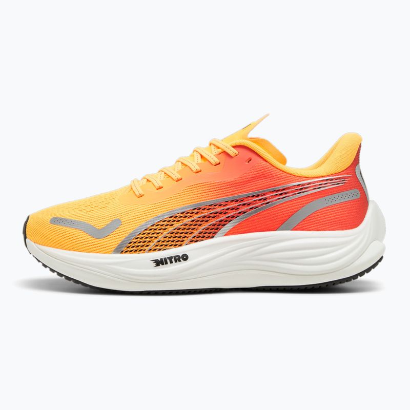 Кросівки для бігу чоловічі PUMA Velocity Nitro 3 Fade sun stream/sunset glow/white 10