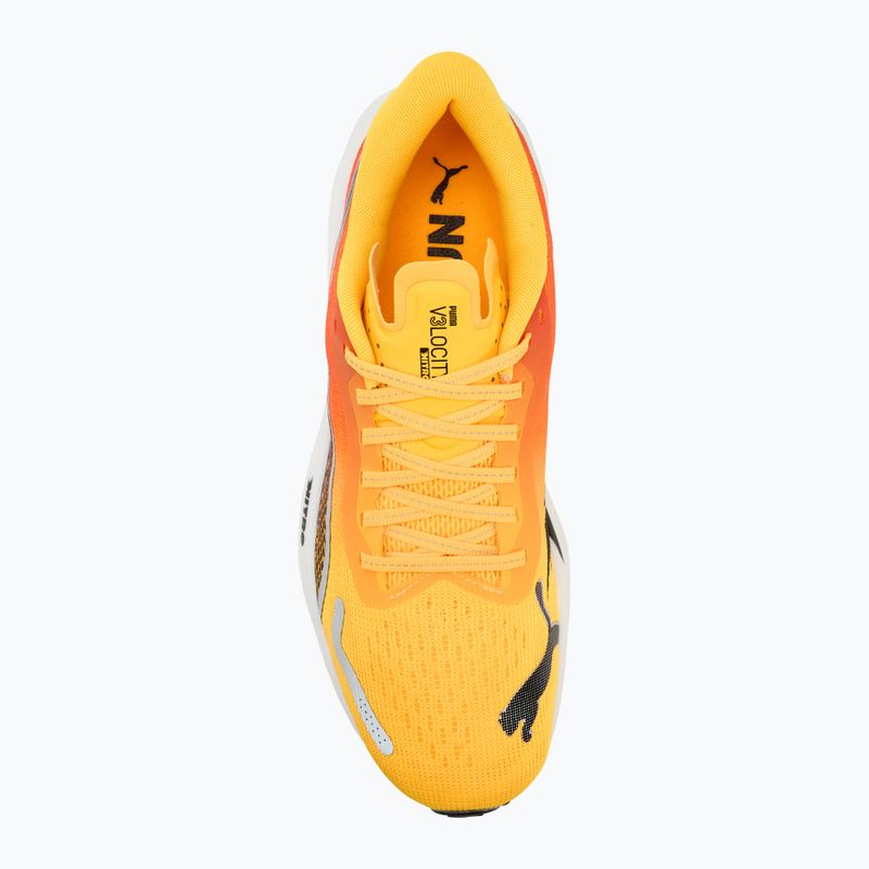 Кросівки для бігу чоловічі PUMA Velocity Nitro 3 Fade sun stream/sunset glow/white 5