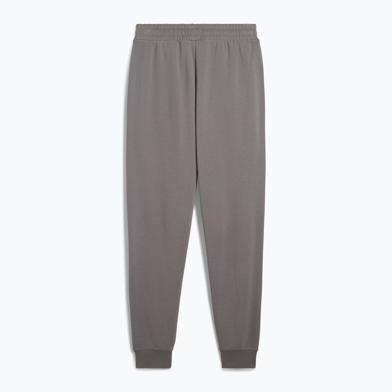 Штани чоловічі PUMA ESS No. 1 Logo Sweatpants TR CL cast iron 2