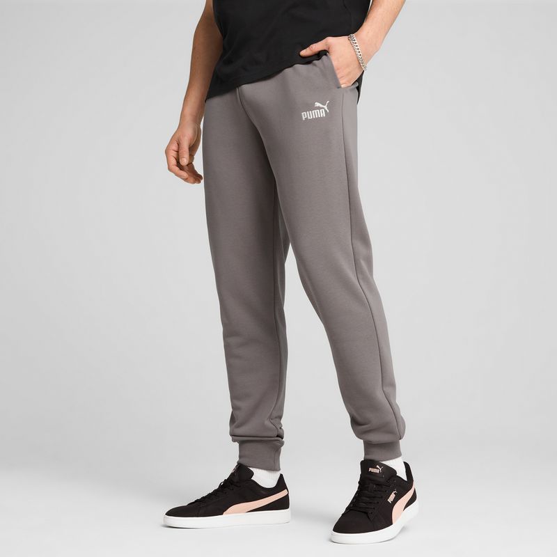 Штани чоловічі PUMA ESS No. 1 Logo Sweatpants TR CL cast iron 4