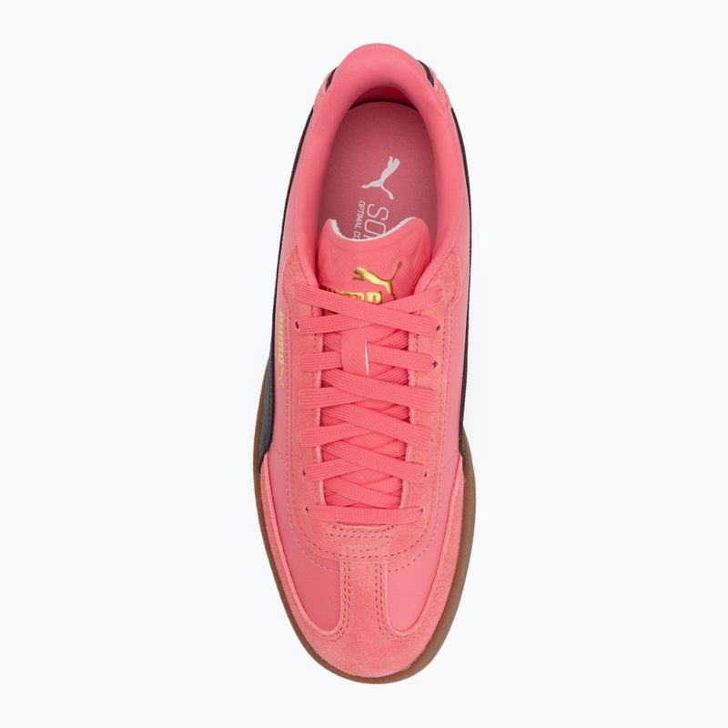 Кросівки PUMA Club II Era magic rose/vew navy/gum 5
