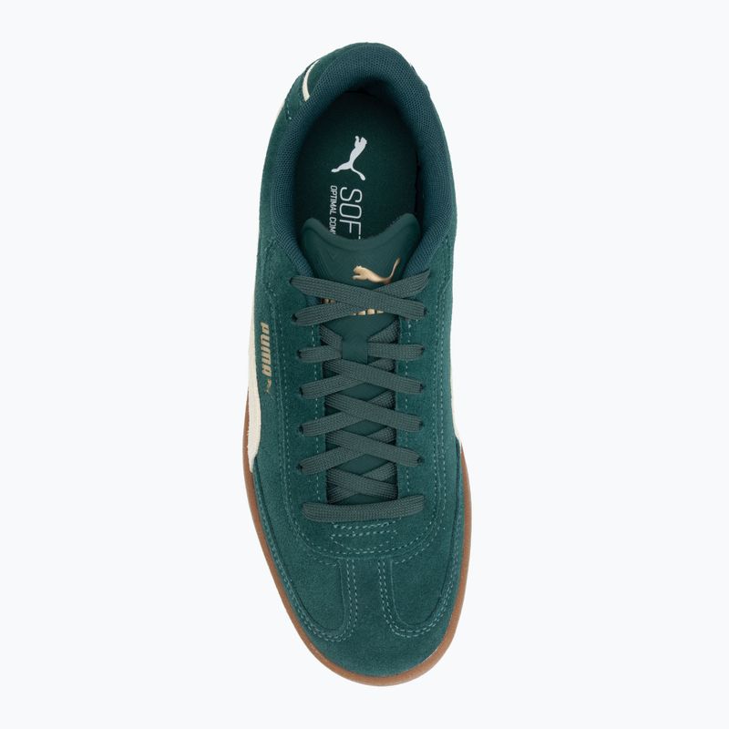 Кросівки чоловічі PUMA Club II Era Suede dark myrtle/alpine snow/gum 5