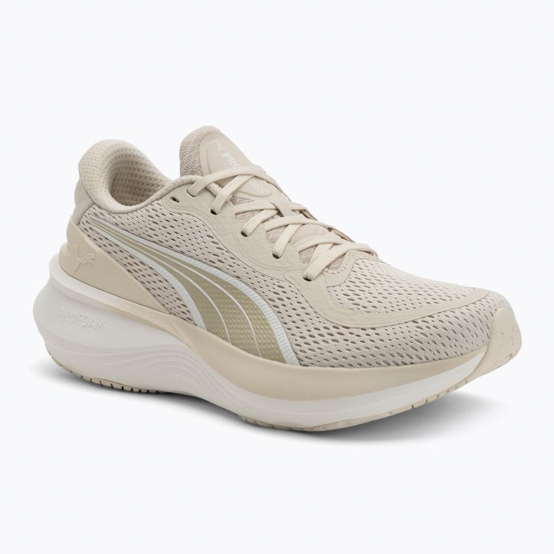 Кросівки для бігу PUMA Scend Pro 2 alpine snow/warm white