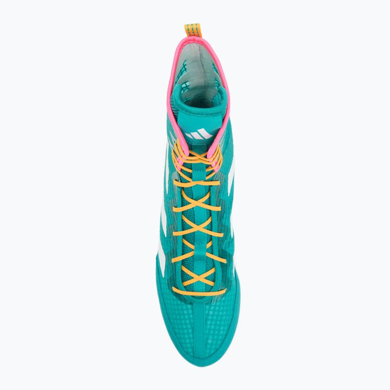 Боксерки adidas Box Hog 4 turquoise 5