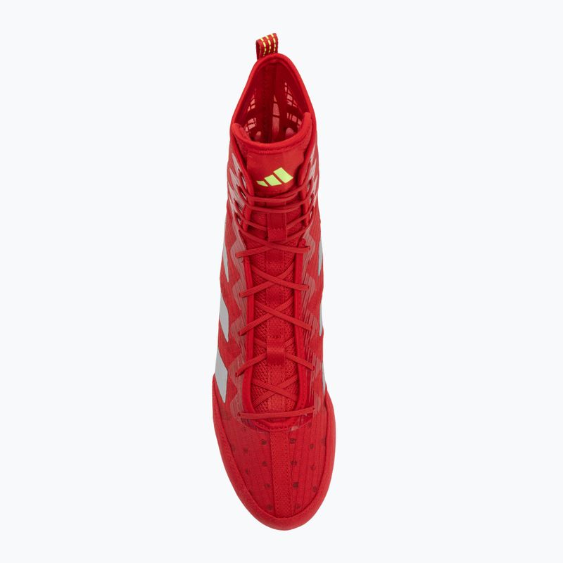 Кросівки боксерські adidas Box Hog 4 red 5